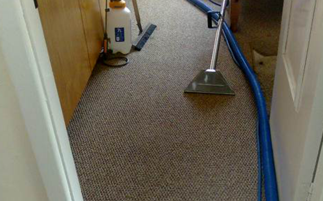 Carpet-Cleaning-Ballsbridge
