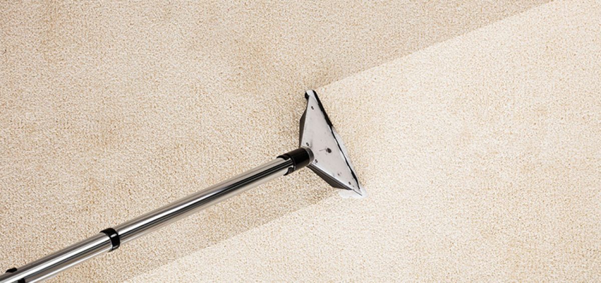 DIY Vs Professional Carpet Cleaning: Which Is Best for Me?