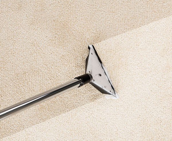 DIY Vs Professional Carpet Cleaning: Which Is Best for Me?